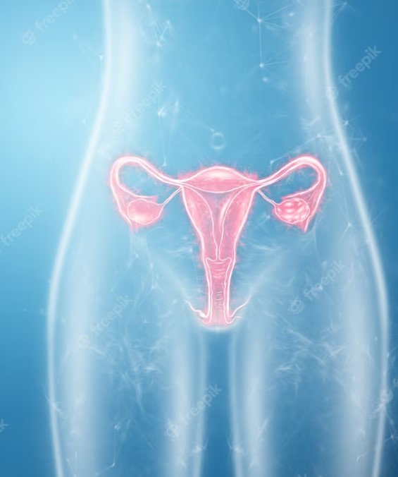 ovarian cancer